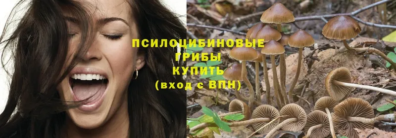 купить   Белый  Галлюциногенные грибы Magic Shrooms 